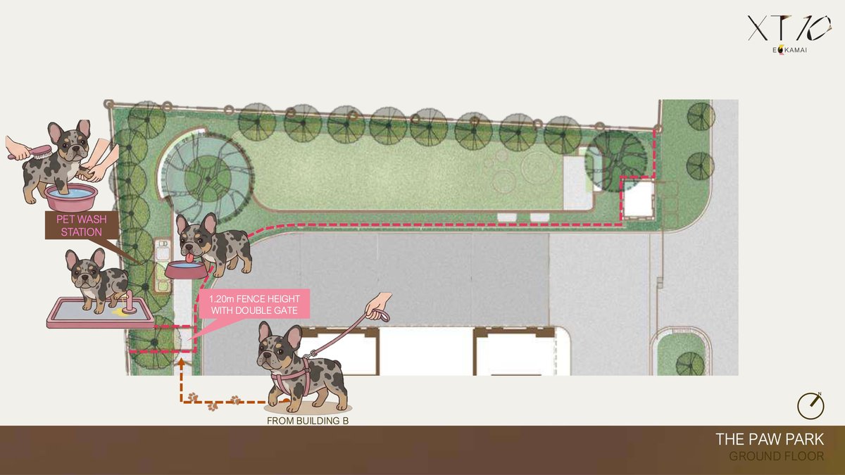 Paw Park 配置圖 — 清洗站・雙閘門
